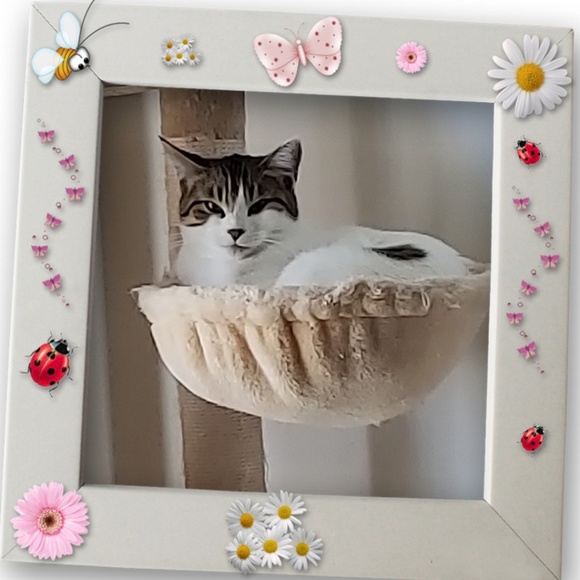 Meet your Posher, Wendie - Picture 2 of 8